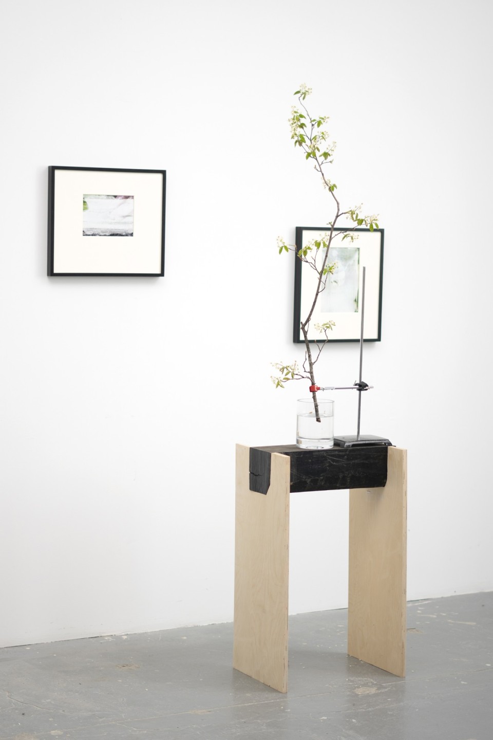 Antonin Detemple - *Nouer*, sculpture, bois d’ébène, contreplaqué, vase, pince de chimiste, branche d’amélanchier. (en arrière plan : Mon amour), 2023.