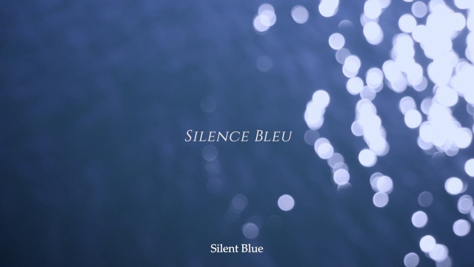 Kyoko Kasuya - *Silence Bleu*, 2020-2022, Film, 14’12, 4K  
<br>Silence Bleu est la suite de Listen to the voices of the Sea (2019), la première vidéo expérimentale de Kyoko Kasuya, basée sur le journal intime d’un pilote kamikaze japonais. Kamikaze signifie «vent de Dieu» en japonais. L’artiste a transcrit une partie du journal d’un jeune pilote du sud du Japon, Norimitsu Takushima, dans le deuxième volume du livre intitulé « Kiké Wadatsumi no Koé (Listen to the voices from the sea)». En mettant à sa place Noé Teissier, un personnage fictif français, cette traduction s’inscrit dans un contexte contemporain, culturellement et géographiquement plus étendu, pour que ses pensées et la réalité de sa vie puissent être saisies. 
Cette mort n’est pas seulement celle du seul soldat japonais, mais l’artiste suggéré que ce sentiment est partagé par des soldats de toutes les nations et que des tragédies similaires se produisent. Pour la réalisation du second film, Kyoko Kasuya a donné plus de longueur pour que les spectateurs puissent plonger dans cet univers. Il a été soutenu par MO.CO. Ecole supérieure des Beaux-Arts Montpellier Contemporain (FR) et la Fondation Archive Luigi Nono (IT).